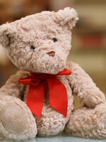 Daruj letos na Vánoce dobrý skutek! Obdarovat můžeš lidi bez domova i obyvatele domovů pro seniory