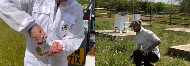 David Beckham je po novom včelár. Založil značku medových snackov pre deti