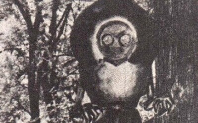 Deti z mestečka Flatwoods prisahali, že v roku 1952 videli v lese mimozemšťana. Išlo však len o nafúknutý výmysel?