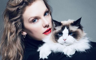 Díky podpoře Taylor Swift se k volbám zaregistrovalo rekordní množství voličů