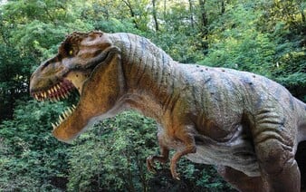 Dinosauří kvíz: Jak moc toho víš o prehistorických ještěrech?