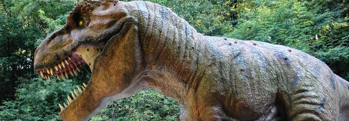 Dinosauří kvíz: Jak moc toho víš o prehistorických ještěrech?