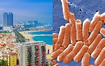 Dovolenka v Španielsku sa zmenila na horor: Vyše 100 hostí hotela skončilo s príznakmi otravy