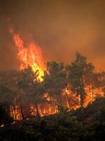 EU připravuje hasičské týmy na podporu zemí s častými lesními požáry. Týká se to i Česka