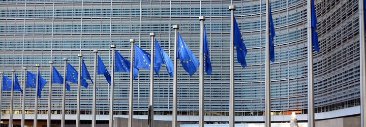 EÚ zakazuje krivé uhorky a zabíjačky, za všetko môže Brusel. TOP 5 mýtov o Európskej únii 