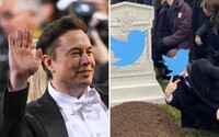 Elon Musk chystá na Twitteri veľké zmeny. Plánuje zrušiť reposty aj lajky pod príspevkami
