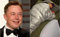 Elon Musk vraj premieňa kancelárie Twitteru na spálne