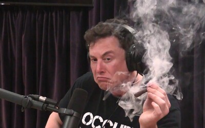 Elon Musk rozjíždí rapovou kariéru. Využívá autotune, loučí se s Harambem a popíjí gin