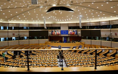 Evropský parlament schválil celoevropskou ratifikaci Istanbulské úmluvy. Platit tak začne i v Česku