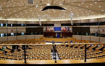 Evropský parlament schválil celoevropskou ratifikaci Istanbulské úmluvy. Platit tak začne i v Česku