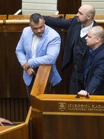 Slovenský premiér ustál hlasování o důvěře. Pravicoví extrémisté z ĽSNS kvůli němu obsadili řečnický pult