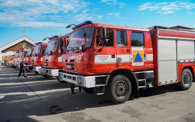 FOTO: Čivava uvázla v topení. Museli ji vysvobodit pražští hasiči