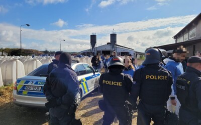 FOTO: Desítky aktivistů vnikly na mléčnou farmu na Pardubicku. Akci ukončila policie