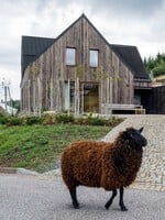 FOTO: Dom v Krkonošiach je ako vystrihnutý z Nového Zélandu. Kombinácia dreva a útulného dizajnu ťa nadchne