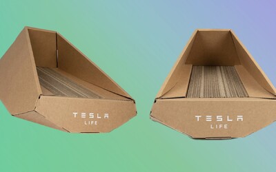 FOTO: „Jediná Tesla, kterou si můžu dovolit.“ Musk představil kartonový domeček pro kočky, stojí pár stovek