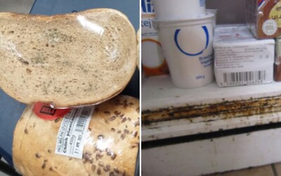 FOTO: Plesnivý chlieb aj potraviny po záruke. Štátnej inšpekcii neušiel žiadny reťazec, rozdala pokuty vo výške desiatok tisíc