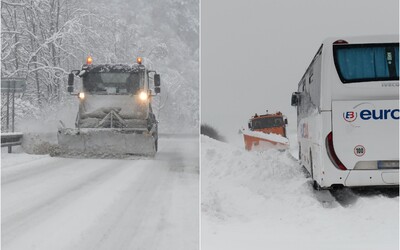 FOTO: Slovensko sužuje snehová kalamita. Popadané stromy a extrémne silný vietor komplikujú život vodičom