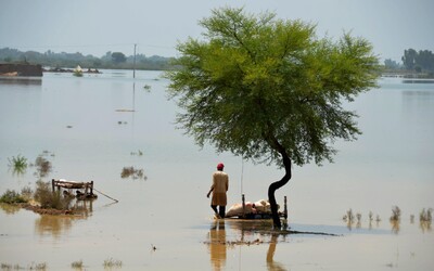 FOTO: Už 30 % územia Pakistanu je pod vodou. Masívne záplavy zabili viac ako 1 100 ľudí, odborníci varujú pred katastrofou