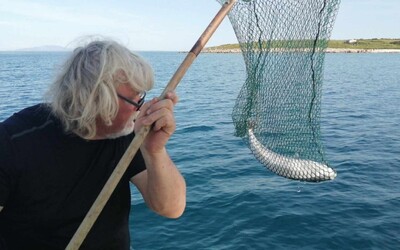 FOTO: V Chorvátsku vylovili prudko jedovatú rybu. Silným jedom zabije aj dospelého človeka