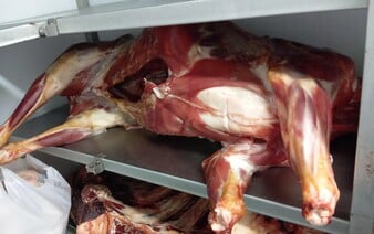 FOTO: Veterinární správa objevila v restauraci hovězí hlavu i s očima a další nelegální maso