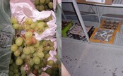 FOTO: Zlá hygiena, či pokazené ovocie. Inšpektori zistili stovky porušení pri predaji potravín