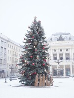 FOTOGALÉRIA: V Bratislave už uzavreli letisko, sneh sa presúva smerom na východ. Očakávaj aj poľadovicu či záveje