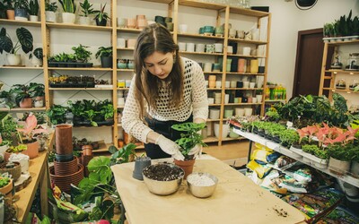 FOTONÁVOD: Ako presadiť izbové rastliny na jar, aby sa tvoj insta-friendly interiér zelenal