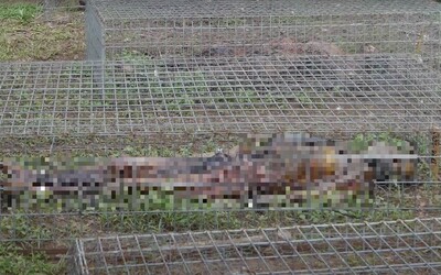 Farmy smrti: Výskumníci nechávajú stovky mŕtvych ľudských tiel vystavených živlom, aby mohli skúmať ich rozklad