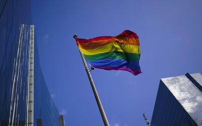 Francouzský parlament schválil zákon zakazující „léčbu“ homosexuality
