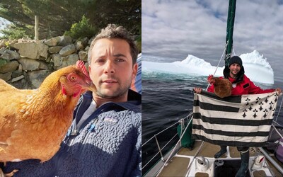 Francúzsky cestovateľ brázdi moria so svojou sliepkou Monique. Naučil ju surfovať, prežili spolu aj 130 dní v mrazivom Grónsku