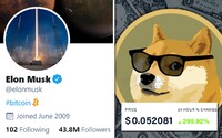 Frustrovaní investoři o 800 % zvedli cenu meme kryptoměny s logem roztomilého psa. Elon Musk zase povzbudil Bitcoin
