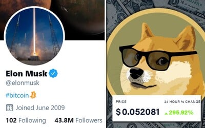 Frustrovaní investori o 800 % zdvihli cenu meme kryptomeny s logom roztomilého psa. Elon Musk zase povzbudil Bitcoin
