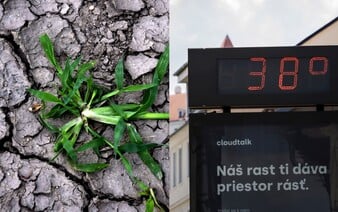 Globálne otepľovanie dosiahlo kritický míľnik. Svet sa oteplil o 1,5 stupňa Celzia