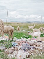 Greenwashing: Takto firmy manipulují s lidskou touhou po zelenější planetě