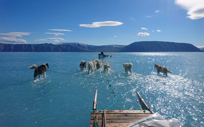 Za jeden měsíc v Grónsku roztálo 197 miliard tun ledu