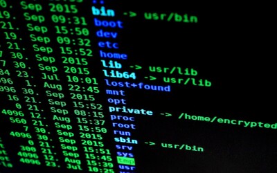 Hackerské útoky v Česku pokračují. Cílí na web vlády i NÚKIB