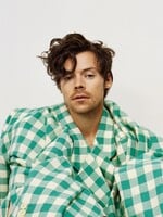 Harry Styles začal prodávat luxusní sexuální hračky