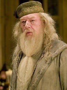 Hľadá sa nový Dumbledore: Riaditeľa Rokfortu v seriáli Harry Potter zrejme stvárni oscarový herec