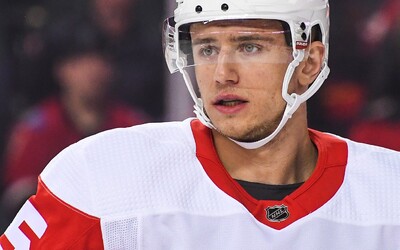Hokejista Jakub Vrána míří do programu NHL, který pomáhá hráčům s problémy