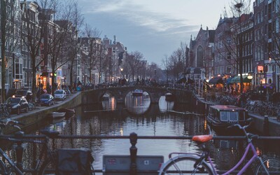 Nizozemsko plánuje zavést speciální koronavirový pas. Lidé díky němu budou moci jít na koncerty či do kina