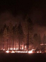 Hořící Hollywood nebo požáry jako trest. Dezinformace se šíří rychleji než plameny, sdílí je i influenceři. Vyvrátíme ti je