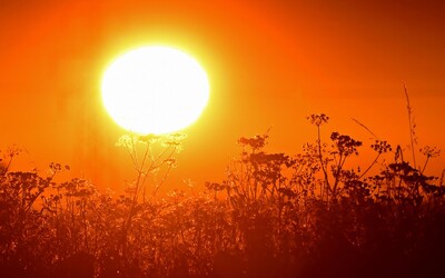 Horúčavy posledných dní sú kvôli globálnemu otepľovaniu päťnásobne pravdepodobnejšie