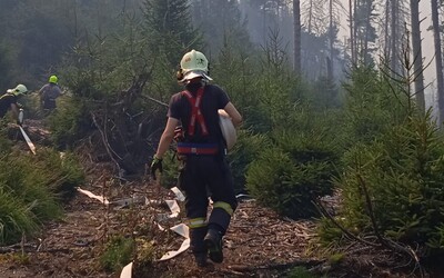 Hranice požáru v Českém Švýcarsku se daří držet na ploše 1000 hektarů. Zapojí se i hasicí letadla z Itálie