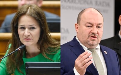 Huliakova Národná koalícia chce vystúpiť z EÚ aj NATO, čo je proti programu vlády, upozorňuje Holečková. Kritizuje aj Hlas