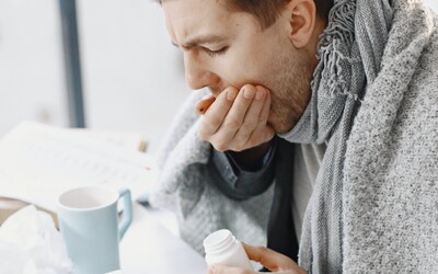 Hygienici na jihu Čech evidovali minulý týden více nových případů černého kašle