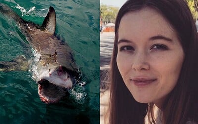 Iba 21-ročné dievča zabila skupina žralokov na Bahamách. Ide o prvý takýto útok po 10 rokoch 