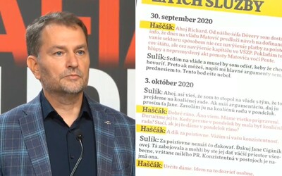 Igor Matovič čítal údajnú komunikáciu Sulíka s Haščákom. Šéf SaS sa k súkromným správam odmietol vyjadriť