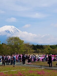 Ikonická turistická vyhliadka končí. Kvôli „nevychovaným turistom“ Japonsko postaví bariéru a znemožní krásny výhľad