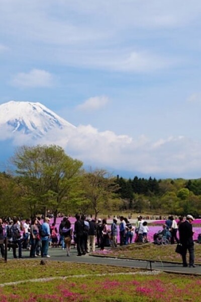 Ikonická turistická vyhliadka končí. Kvôli „nevychovaným turistom“ Japonsko postaví obrovskú bariéru, znemožní dychberúci výhľad
