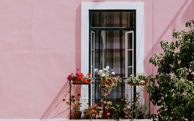 Influenceři ničí růžový dům v Londýně, před který se chodí fotit. Podle majitele přesahují škody 55 tisíc korun